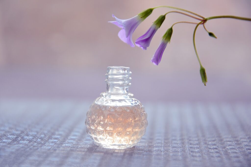 Find The Best Fresh Scent To Keep Your Space Invigorating And Uplifting On NextReading